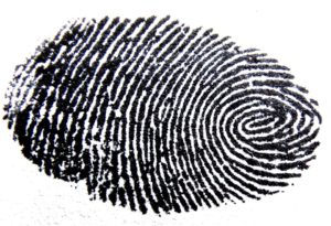 Biometric system failed to detect terror suspect